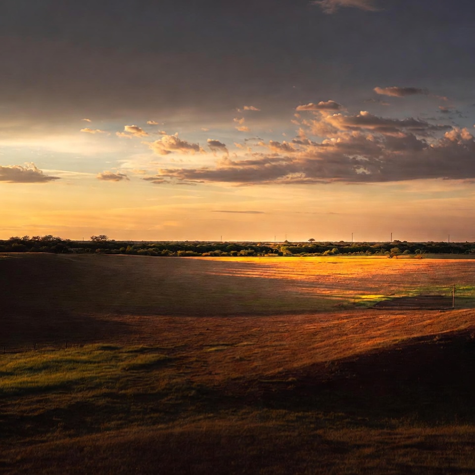 Rio Grande Valley ranch landscape